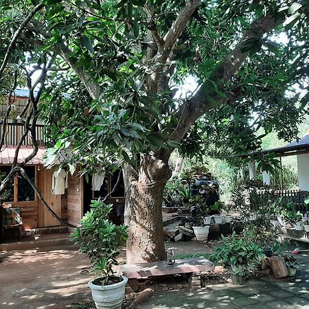 Serenity House In Дамбулла Экстерьер фото